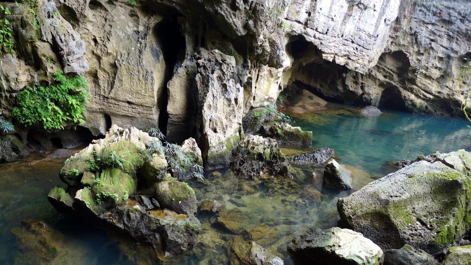 Paradise Cave & Dark Cave Adventure Day Tour in Phong Nha, Quang Binh, Vietnam