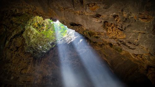 Paradise Cave Day Trip Adventure in Phong Nha, Quang Binh, Vietnam