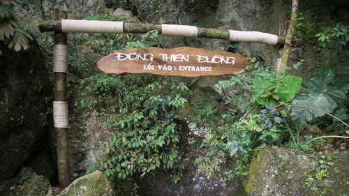 Paradise Cave Day Trip Adventure in Phong Nha, Quang Binh, Vietnam