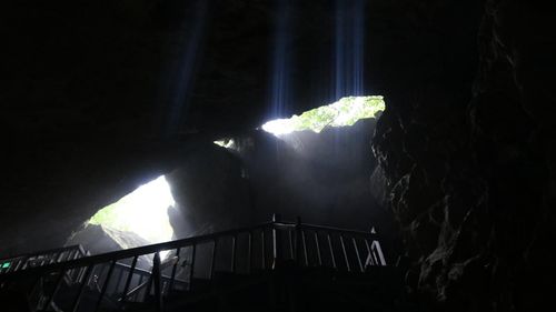 Paradise Cave Day Trip Adventure in Phong Nha, Quang Binh, Vietnam