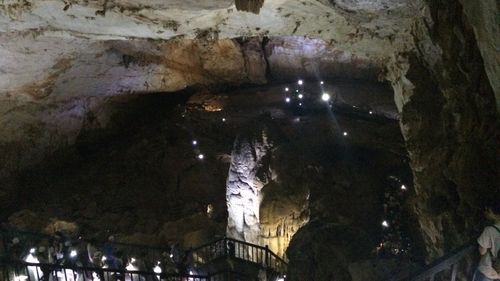 Paradise cave Phong Nha