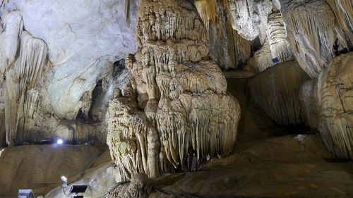 Phong Nha Cave Tour