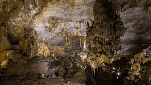 Phong Nha Cave Tour